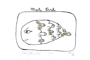 male fish   1